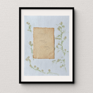 Art made using pigment from real aster plants as a backdrop. Atop, on handmade cotton paper, are the hand typed plant common name and botanical name.