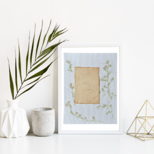 Art made using pigment from real aster plants as a backdrop. Atop, on handmade cotton paper, are the hand typed plant common name and botanical name.