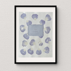 Art made using pigment from real rose plants as a backdrop. Atop, on handmade cotton paper, are the hand typed plant common name and botanical name.