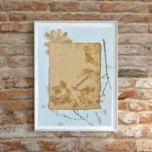 Art made using pigment from real plants depicting a floral backdrop behind a handmade cotton paper stamped with real flowers and with the typewritten text, "once upon a time...".