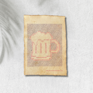 Handmade typewriter art on handmade, recycled, deckled-edged cotton paper. The repeated words, “drink beer” are hand typed in black on a typewriter. The use of black and red letters, along with negative space, forms a visual of a beer mug in the center of the page. The piece rests on a textured white surface with the shadow of a palm on the top left side. At the bottom, the website “www.PlantsAreMyType.com” is typed in red.