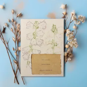 Artwork displayed on blue backdrop with cotton. Art made using pigment from real plants as a backdrop. Atop, on handmade cotton paper, are the hand-typed plant common name and botanical name as well as the area the plants were collected.