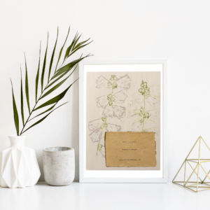 An image of framed typewriter art in a white frame on a white shelf. The art is stamped with real plants and displays a the plant name, botanical name, and area the plants were collected. The art is displayed in a white frame between a white vase with a palm front next to a cement jar and a golden geometric decorative piece.