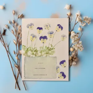Artwork displayed on blue backdrop with cotton. Art made using pigment from real plants as a backdrop. Atop, on handmade cotton paper, are the hand-typed plant common name and botanical name as well as the area the plants were collected.