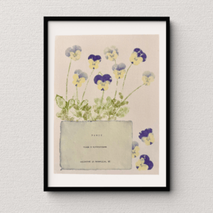 Artwork displayed in a black frame atop a neutral wall backdrop. Art made using pigment from real plants as a backdrop. Atop, on handmade cotton paper, are the hand-typed plant common name and botanical name as well as the area the plants were collected.