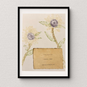 Artwork displayed in a black frame atop a neutral wall backdrop. Art made using pigment from real plants as a backdrop. Atop, on handmade cotton paper, are the hand-typed plant common name and botanical name as well as the area the plants were collected.