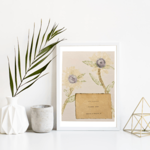An image of framed typewriter art in a white frame on a white shelf. The art is stamped with real plants and displays a the plant name, botanical name, and area the plants were collected. The art is displayed in a white frame between a white vase with a palm front next to a cement jar and a golden geometric decorative piece.