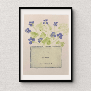 Artwork displayed in a black frame atop a neutral wall backdrop. Art made using pigment from real plants as a backdrop. Atop, on handmade cotton paper, are the hand-typed plant common name and botanical name as well as the area the plants were collected.